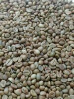 Raw coffee beans